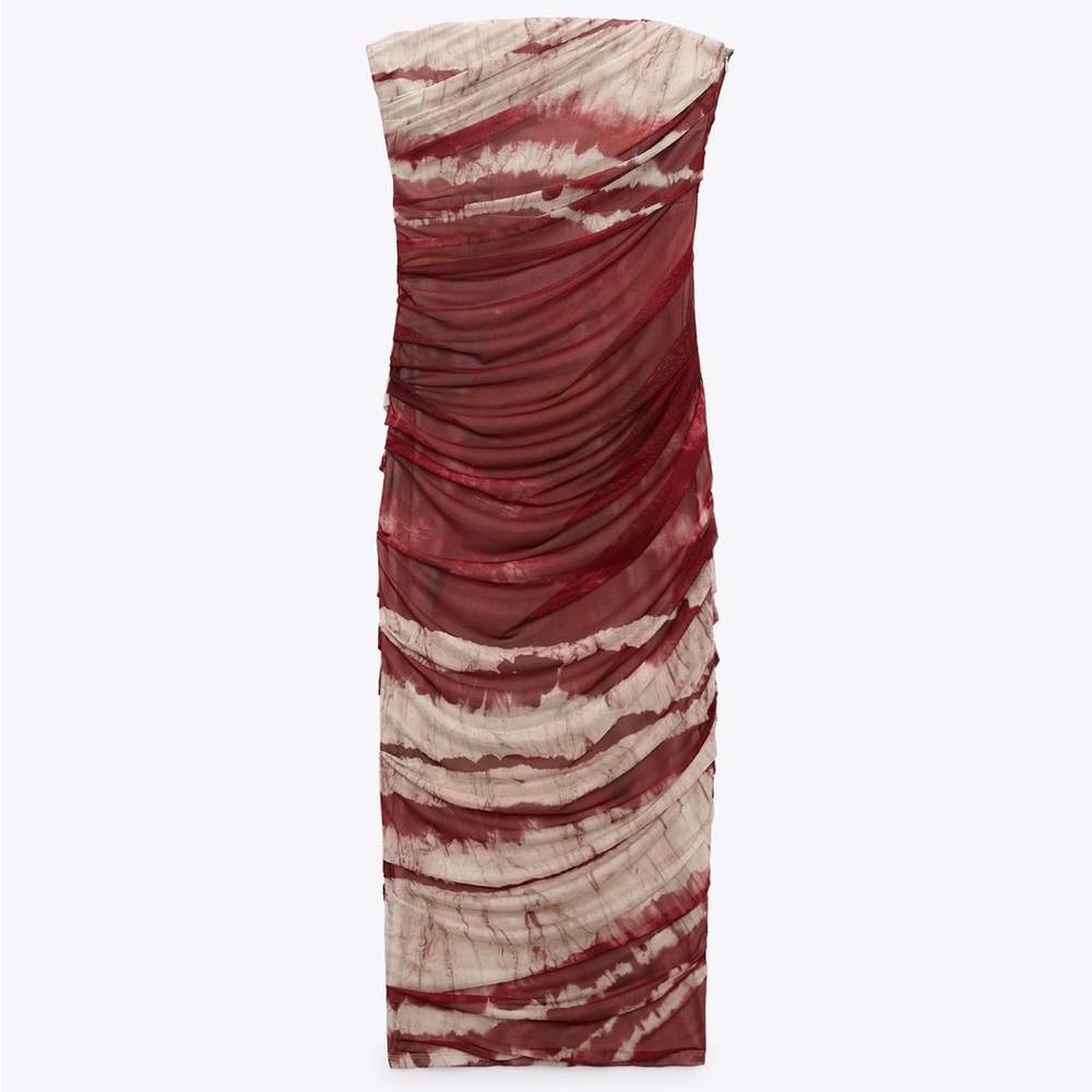 Zara Printed Mesh MIDI Dress